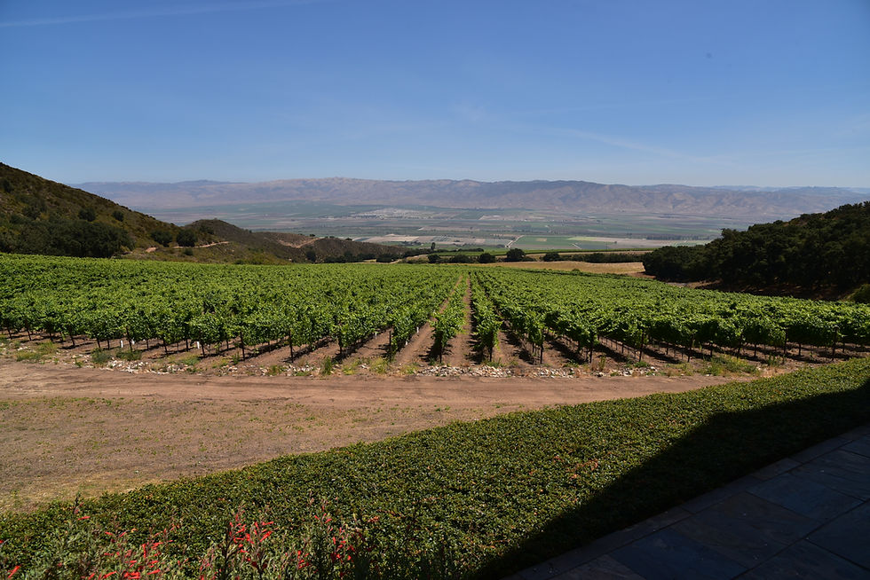 Cortada Alta Vineyard, Santa Lucia Highlands