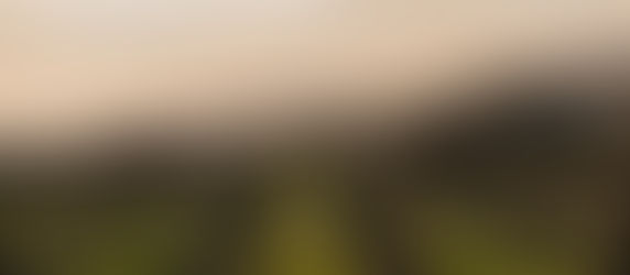 SLO COAST WINE COLLECTIVE UNVEILS NEW NAME, LOOK AND WEB SITE