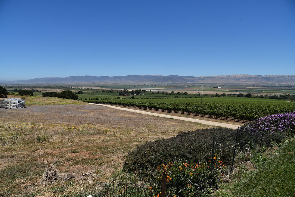 Morgan Double L Vineyard, Santa Lucia Highlands, CA