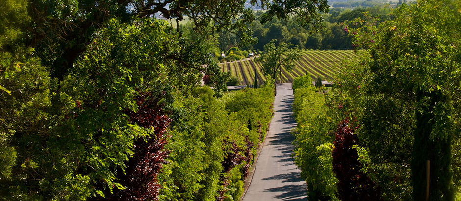 Back From The Fire: New Winery, New Winemaking Team. So Signorello’s New Winemaker Does a Road Tour.