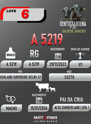 LOTE 28_edited.jpg
