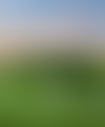 Omni Offers Multiple Valentine's Day Options