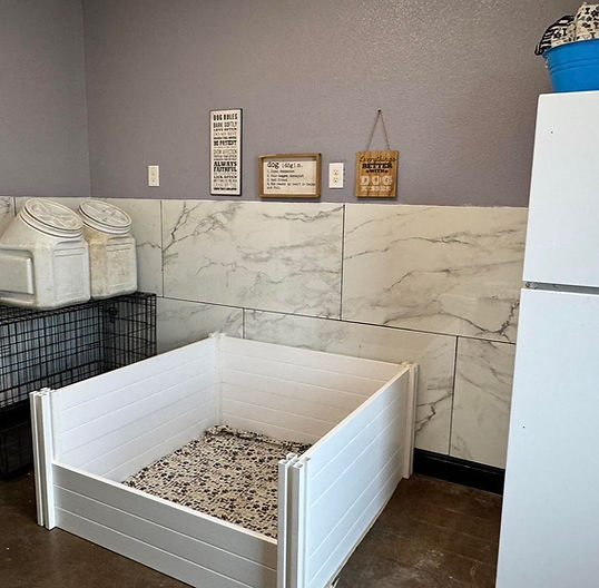 Puppy Room1.jpg