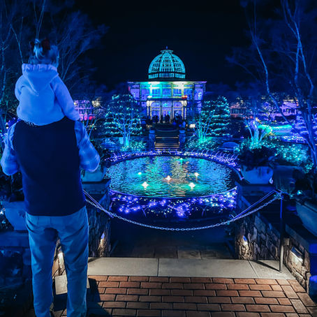 Where to See the Brightest Christmas Lights in Richmond: 2025 Holiday Light Show Guide