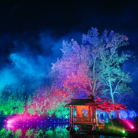 The Only Glow Hike in Richmond: Maymont's Garden Glow 2025