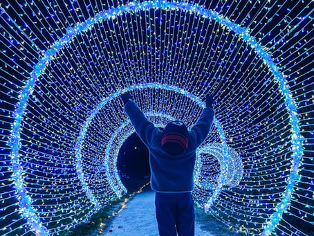 Virginia’s Best Light Shows: Winter Wander Trail of Lights