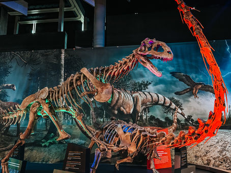 RVA's Special Exhibits: Ultimate Dinosaurs