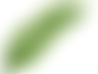 Second Baptist Church's Palm Sunday Activities for Children
