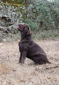 IMG_4143.JPG