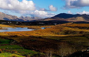 Capture d’écran 2026-01-08 à 14.04_edite