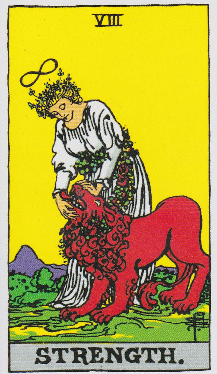 The Strength Card