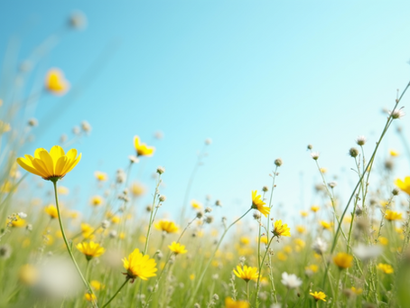 Litha: Harnessing the Energies of the Summer Solstice