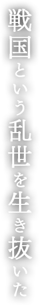 戦国という乱世を生き抜いた