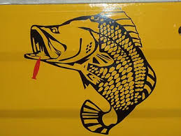 Cooktown Barra Charters
