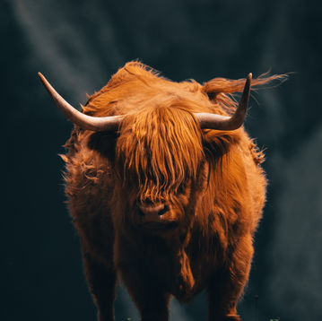 Italy - 2022_-28.jpg