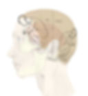 lateral view - two men.jpg