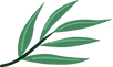 Branch