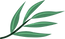 Branch 