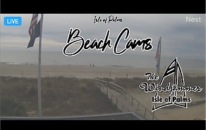 iop beach cam 450.png