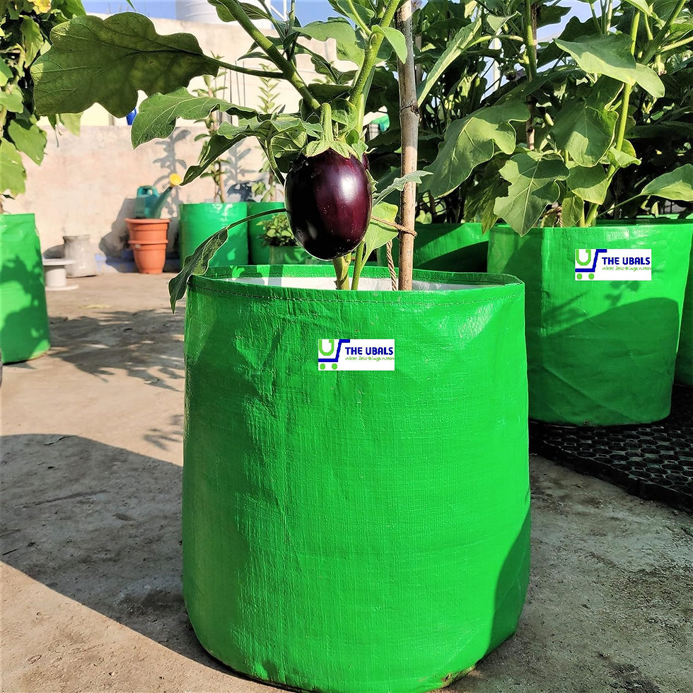 Thumbnail: The Ubals Premium Hdpe Uv Protected 250 GSM Round Shaped Plants Grow