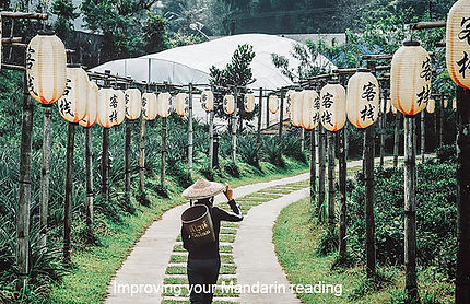 Improving Chinese reading