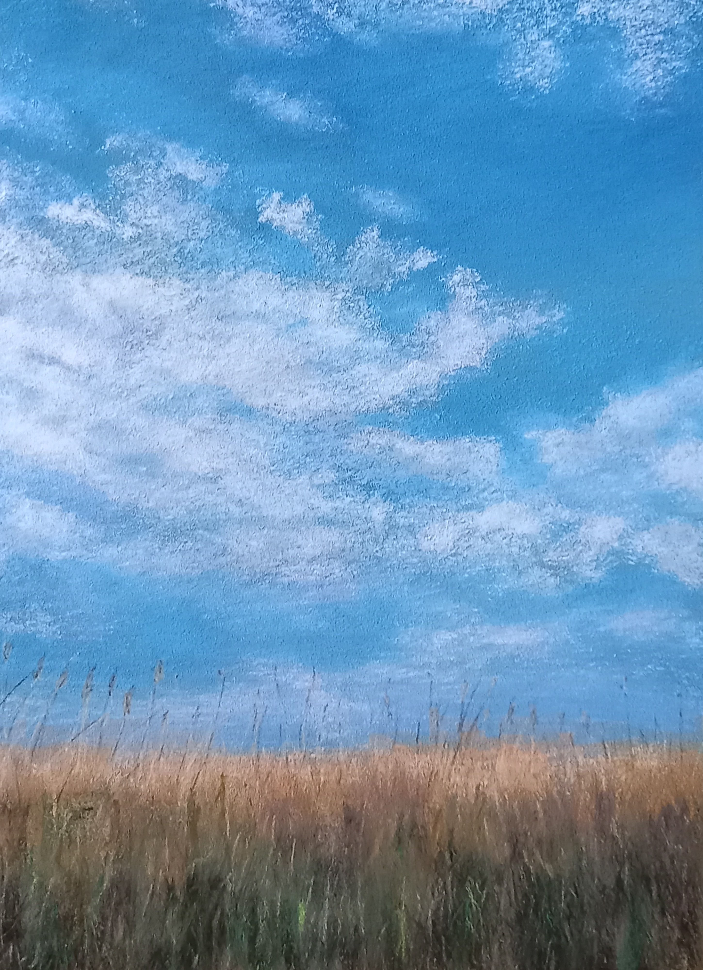 Grasses and Sky