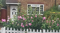 Garden 12.jpg