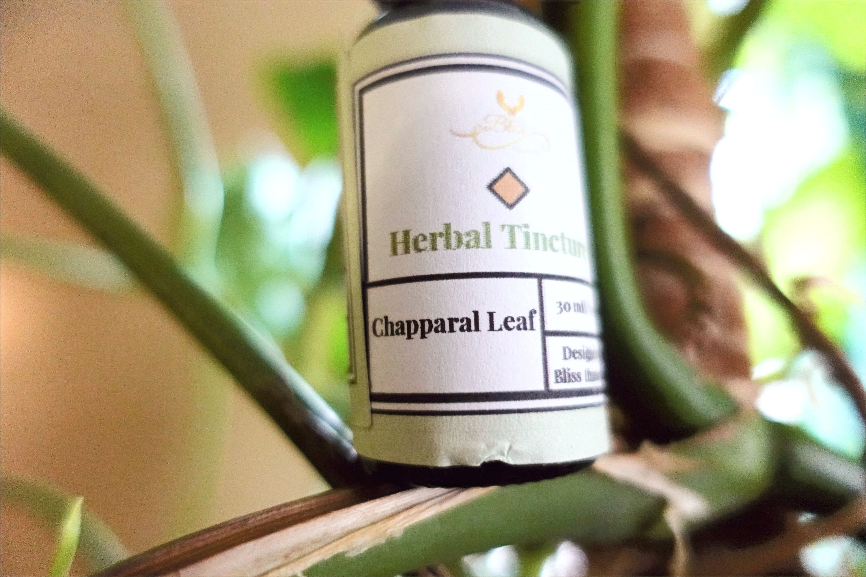 Chaparral Leaf Tincture