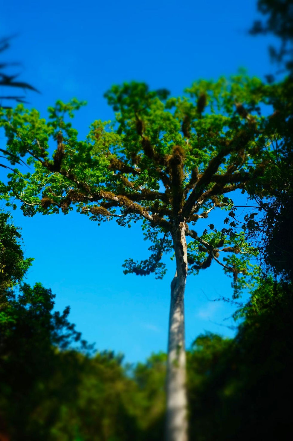 développement personnel