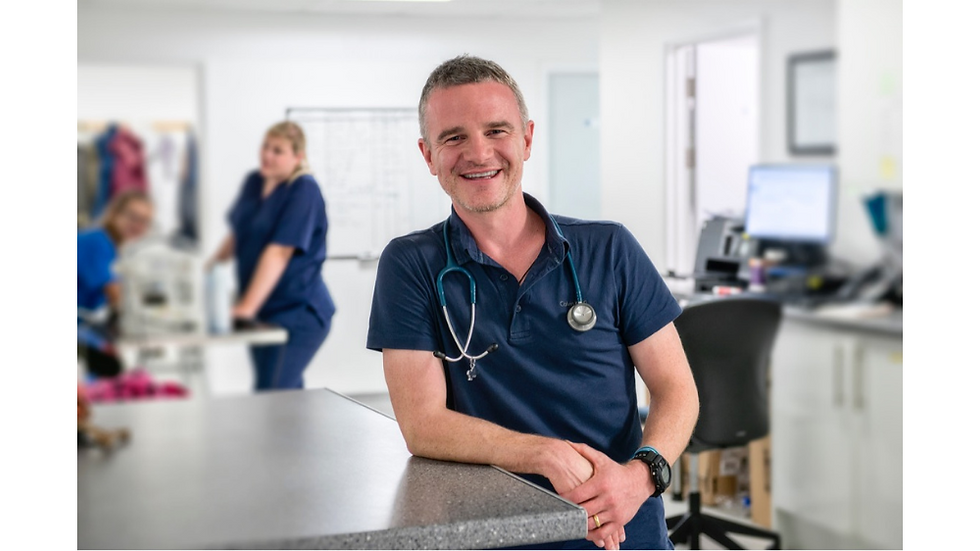 Teeth Cleaning At Your Groomers, Is It Safe?