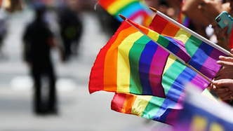 Celebrating Pride In Veterinary Medicine