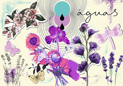 board-pesquisa-águas-floral_05_ju.jpg