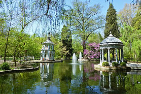 BAÑO DE BOSQUE Y ARPA_ARANJUEZ