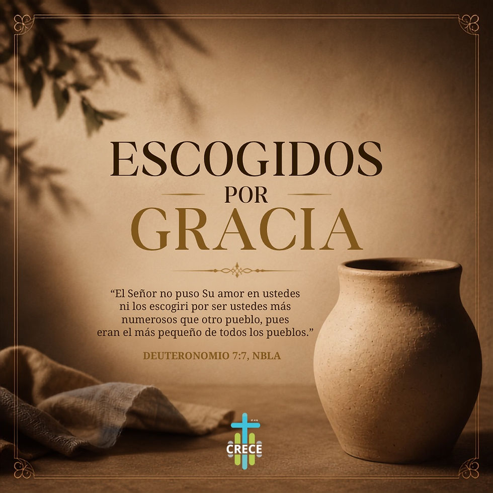 ESCOGIDOS POR GRACIA