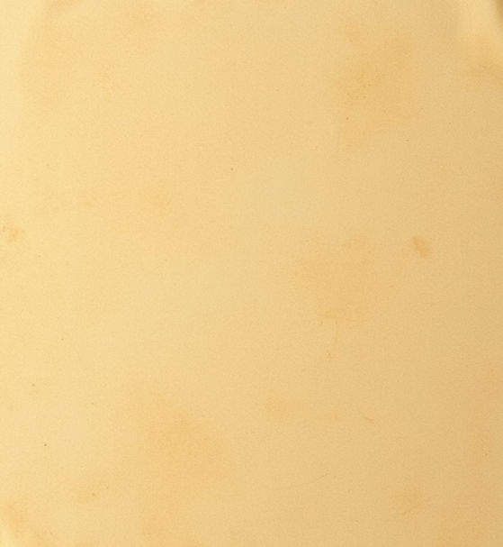 parchment background.jpg