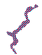 Cartin Maggiore_.png