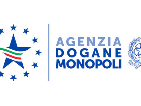 DICHIARAZIONE DI CONSUMO PER L’ENERGIA ELETTRICA E PER IL GAS NATURALE - ANNO D’IMPOSTA 2024 –
