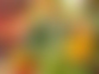 Magnifying glass showing a close up of an assortment of fruits and vegetables