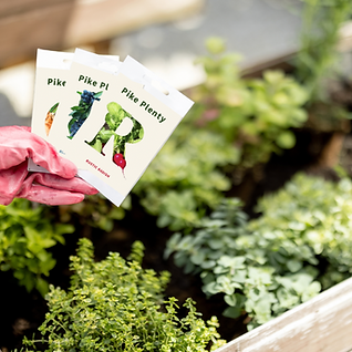 Screen Shot 2023-01-12 at 8.01.17 PM.png