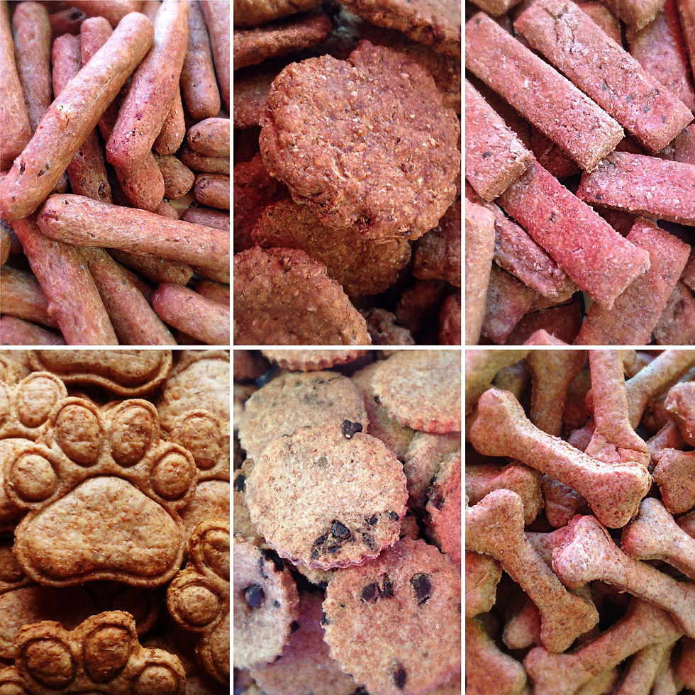 Thumbnail: Wholemeal Biscuit Selection Doggie Bag