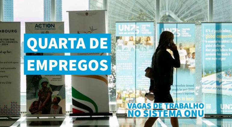 A cat looking at a window