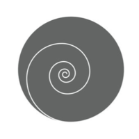 A cat looking at a window