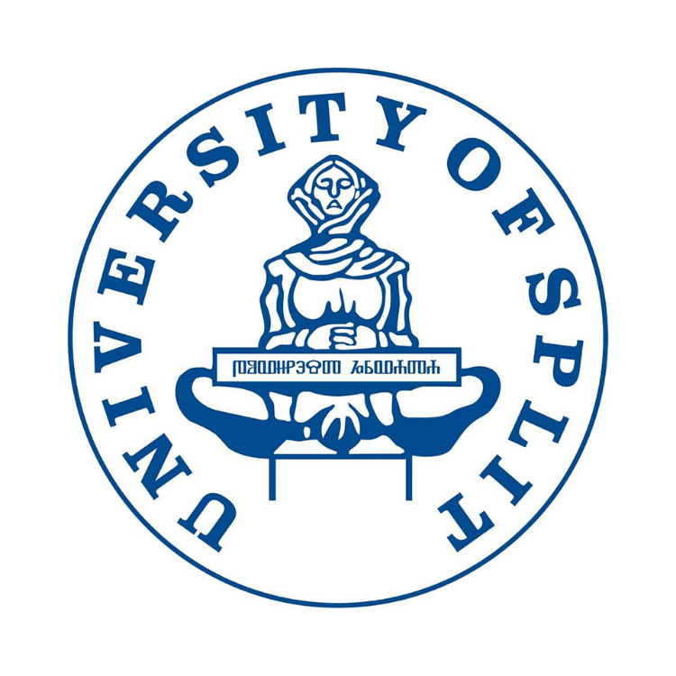 A cat looking at a window