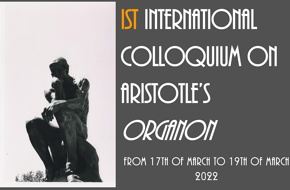 A cat looking at a window