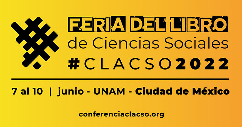 A cat looking at a window