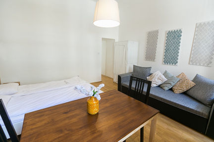 Renovated 1 bedroom apartment for sale in Klauzal square, district 7