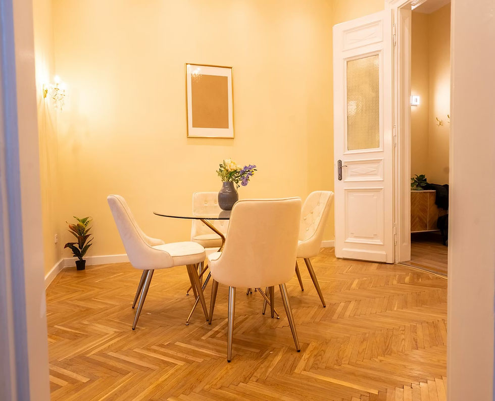 Luxury 1 Bedroom Apartment for Rent on Andrássy út., District 6, Budapest.