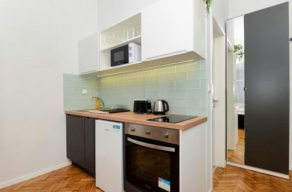 studio apartment for rent in Rakoczi ut, district 8, Budapest
