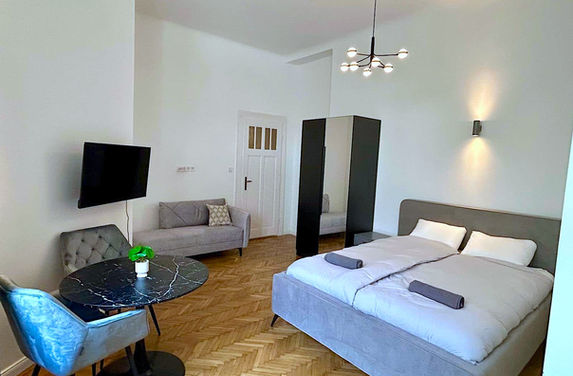 Renovated modern studio apartment for rent in Akacfa street, district 7, Budapest