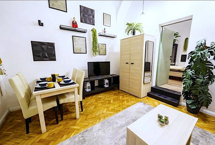 1 bedroom Airbnb apartment for sale in Hajos street, district 6, Budapest